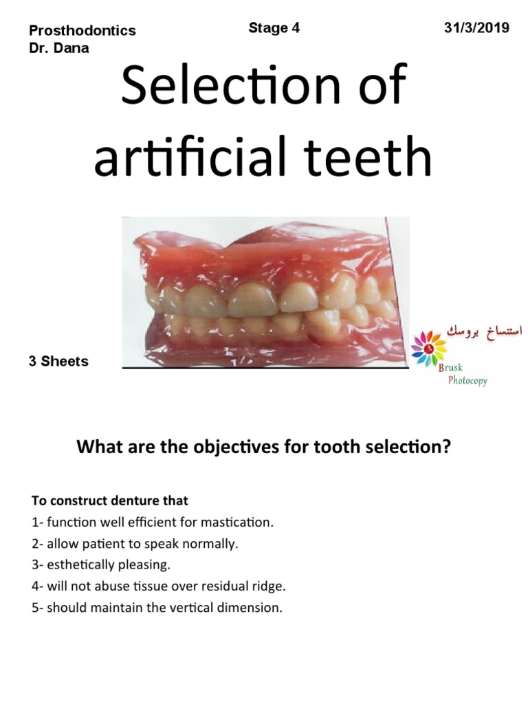 Lec7Selection of Artificial Teeth PDF Dentures Animal Anatomy