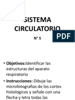 Atlas de Imagenes - Histología Sistema Circulatorio