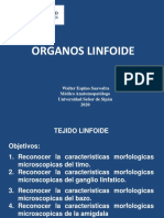 04d.-ORGANOS LINFOIDES USS PRACTICA PDF
