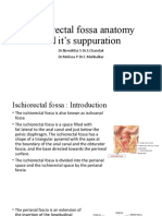 Ischiorectal Fossa Anatomy and It's Suppuration: DR - Niveditha S Dr.S.Chandak DR - Melissa P Dr.C.Mahkalkar