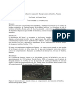 Comportamiento de Dasyprocta Punctata en Gamboa Panama. Por Cornejo E.