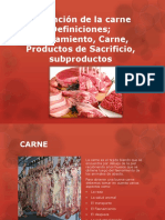 Industria Carnica 01 PDF