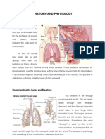 Anatomy and Physiology