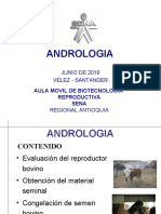 Andrologia SENA