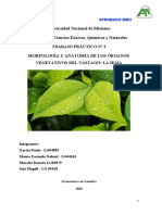 TP3 - HOJA-Biología Vegetal 2020 CORREGIDO PDF