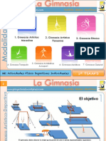 Mis Apuntes Gimnasia