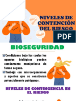 Niveles de Contención Del Riesgo