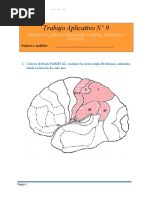 Disnomia Definicion | PDF | Cerebro | Memoria