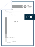 Cómo influyen las diferencias individuales y la diversidad en el comportamiento organizacional