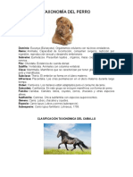 Taxonomía Del Perro