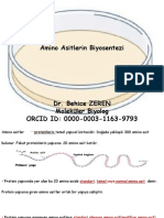 Amino Asitlerin Biyosentezi Dr. Behice ZEREN