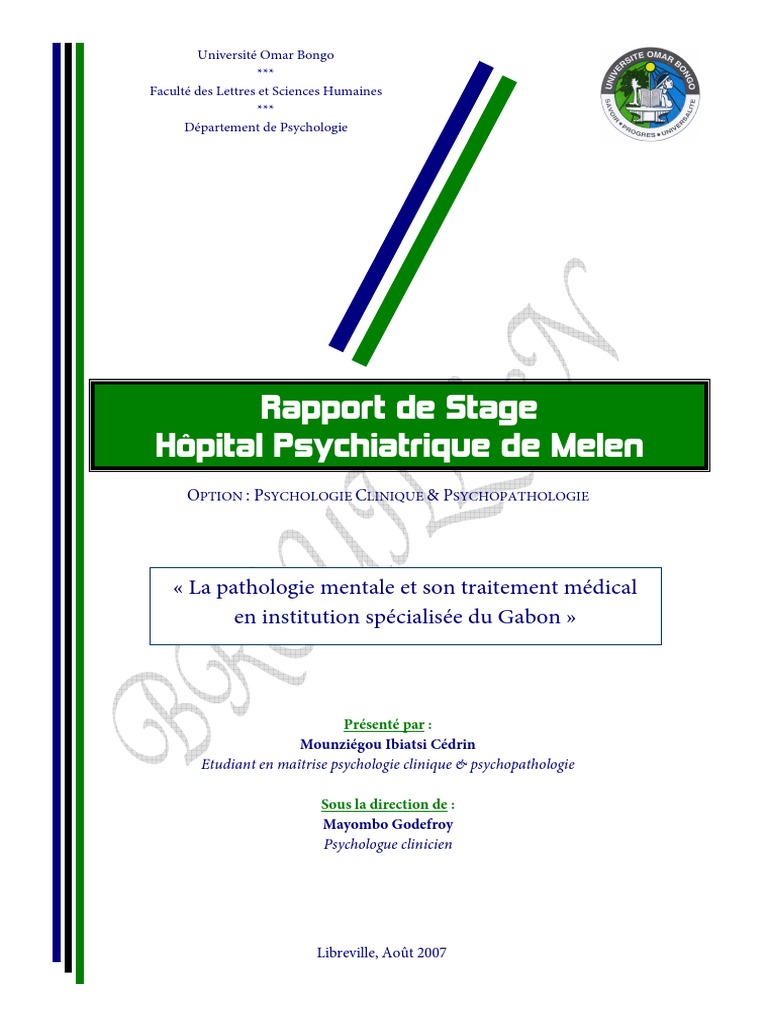 Stage Melen Rapport De Stage Melen Exemple Pdf Psychiatrie Psychotherapie