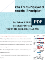 Ökaryotlarda Transkripsiyonel Düzenlenmenin Prensipleri Dr. Behice ZEREN