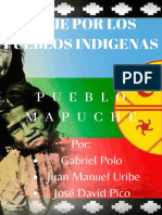 Viaje Por Los Pueblos Indígenas (Revista Digital)