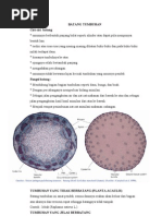 Download BATANG TUMBUHAN by Dewiosa Cell SN48292686 doc pdf