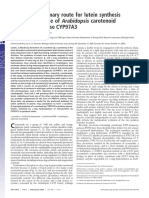 Definiendo La Ruta Primaria de La Síntesis de Luteína en Plantas PDF