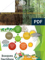 Bosques Deciduos y Semideciduos PDF