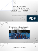 Programa de Adecuación y Manejo Ambiental - PAMA