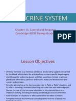 Endocrine System: Chapter 13. Control and Response Cambridge IGCSE Biology Grade 9