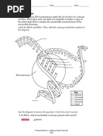 Label The The Diagram.: Transcription