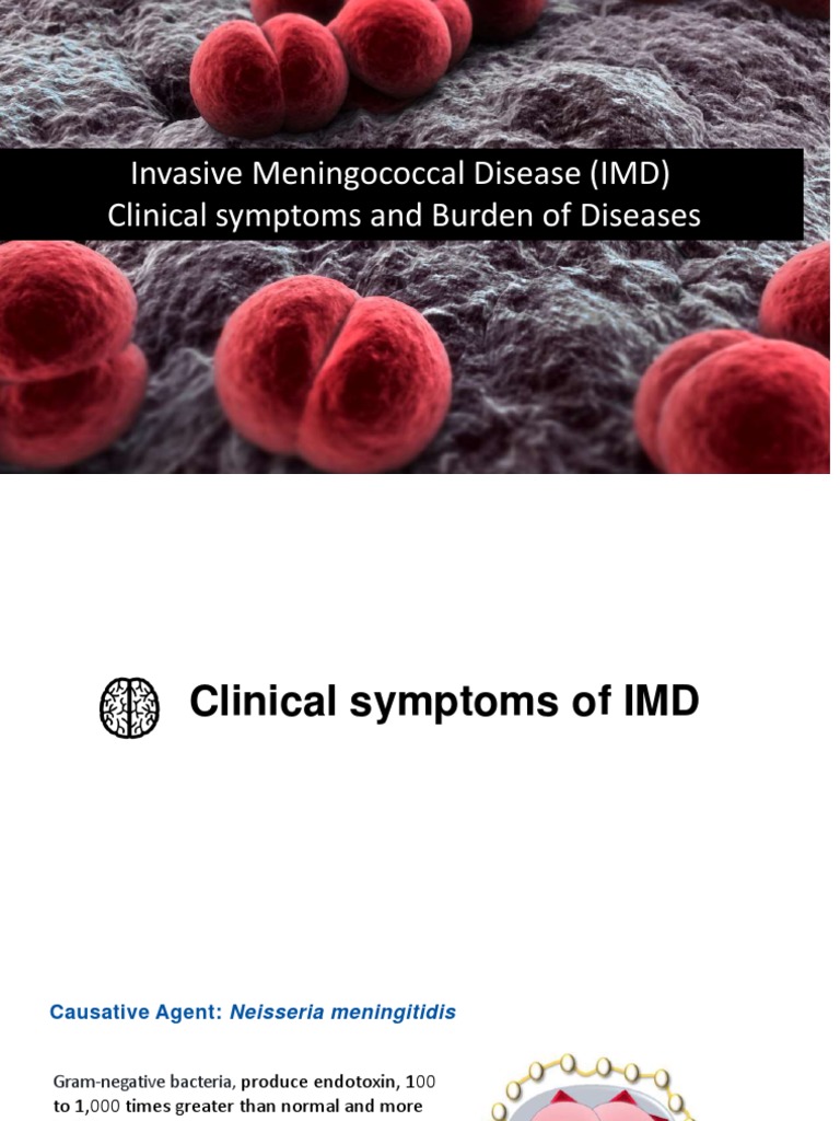 Meningococcemia Rash and Symptoms | PDF | Meningitis | Public Health
