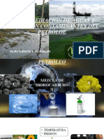 Biorremediación de aguas y suelos por contaminantes del petróleo.pptx
