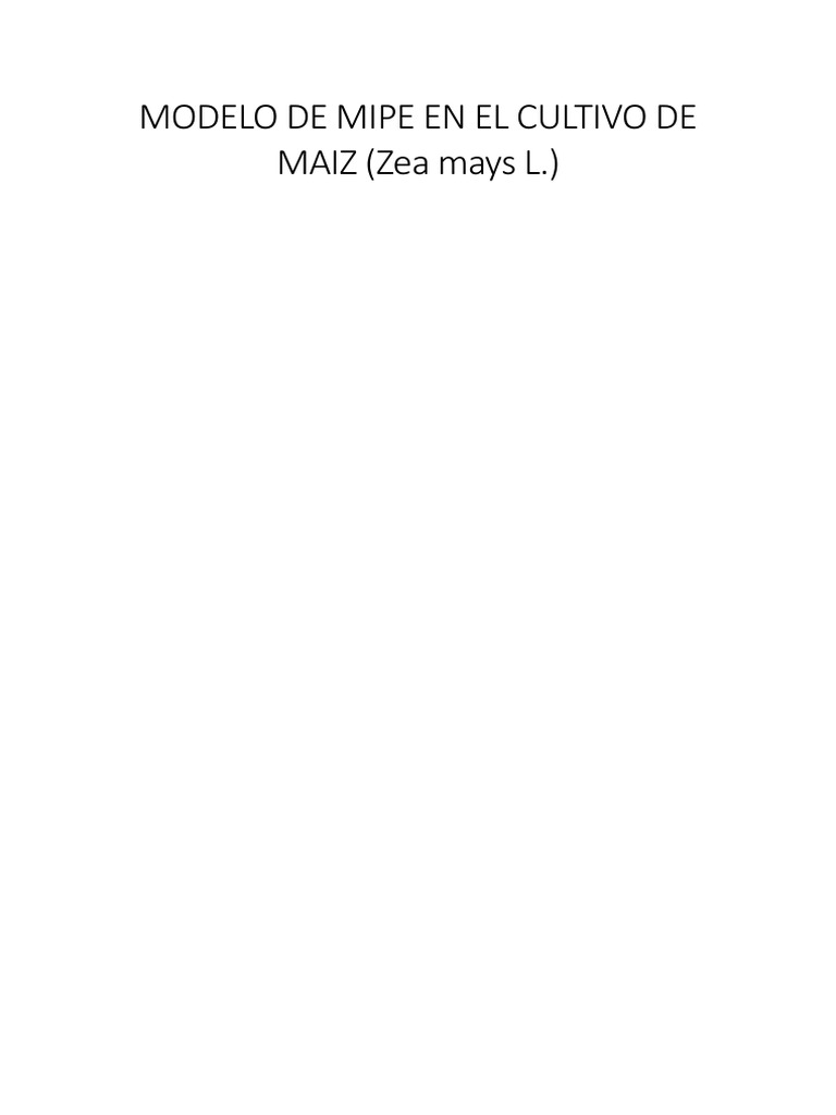Modelo de Mipe en El Cultivo de Maiz | PDF | Cereales | Maíz