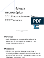 Morfología microscópica: preparaciones y tinciones