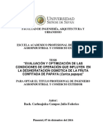 tesis 181216act.pdf