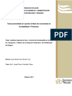 Susel San Nicolás CPE 16-17 Auditoria Especial Combustibles