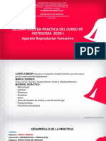 Practica 13 A REPRODUCTOR FEMENINO PDF