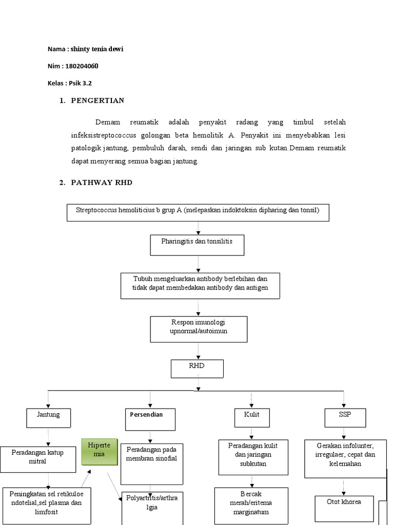Patofisiologi Demam Rematik dan RHD | PDF