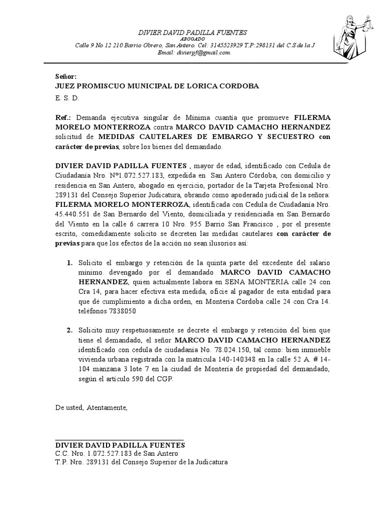 Medidas Cautelares de Proceso Ejecutivo Por Titulo Valor Letra de Cambio |  PDF | Información del gobierno | Justicia