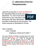 Activity 5.2. Laboratory Exercise On Platyhelminths: Instruction