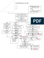 Pathophysiology of COPD