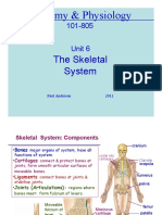 805 Skeletal System 2012