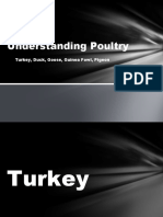 Understanding Poultry: Turkey, Duck, Goose, Guinea Fowl, Pigeon