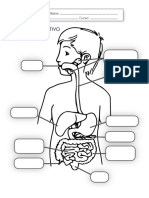 Aparato Digestivo Palabras PDF