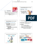 NervousSystem.pdf