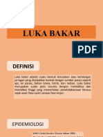 Luka Bakar