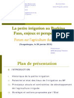 La Petite Irrigation Au Burkina Faso Enjeux Et Perspectives