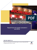 Raport Financiar Pentru Semestrul I Anul 2018
