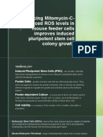 Reducing Mitomycin-C-induced ROS Levels in Mouse Feeder Cells Improves Induced Pluripotent Stem Cell Colony Growth