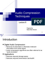 audio compressrion1 (1).pdf