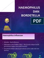 Haemophilus&Bordet 1