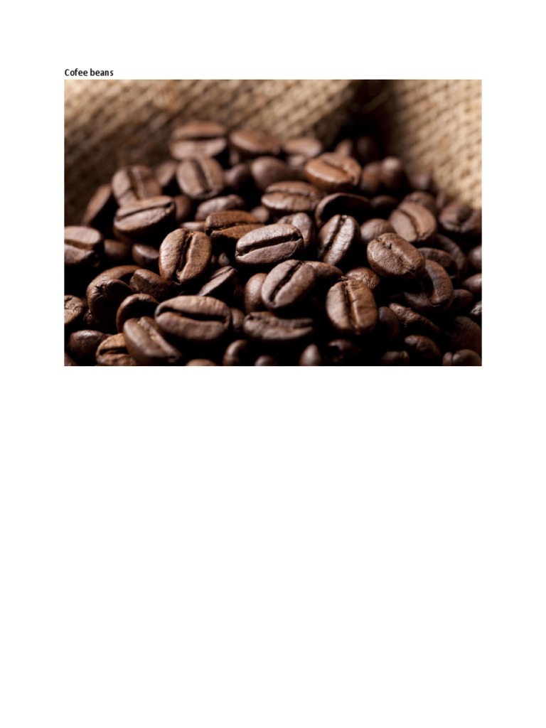 Beans | PDF