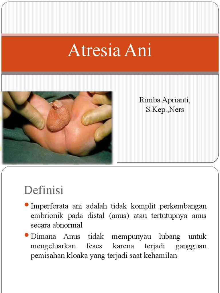 Atresia Ani | PDF