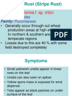 11-Rusts of Wheat PDF