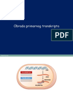 Obrada Primarnog Transkripta