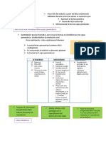 Tercera Semana Del Desarrollo Humano